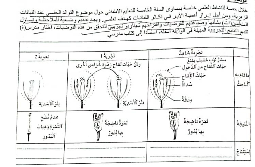 الوثيقة المرفقة بالسؤال